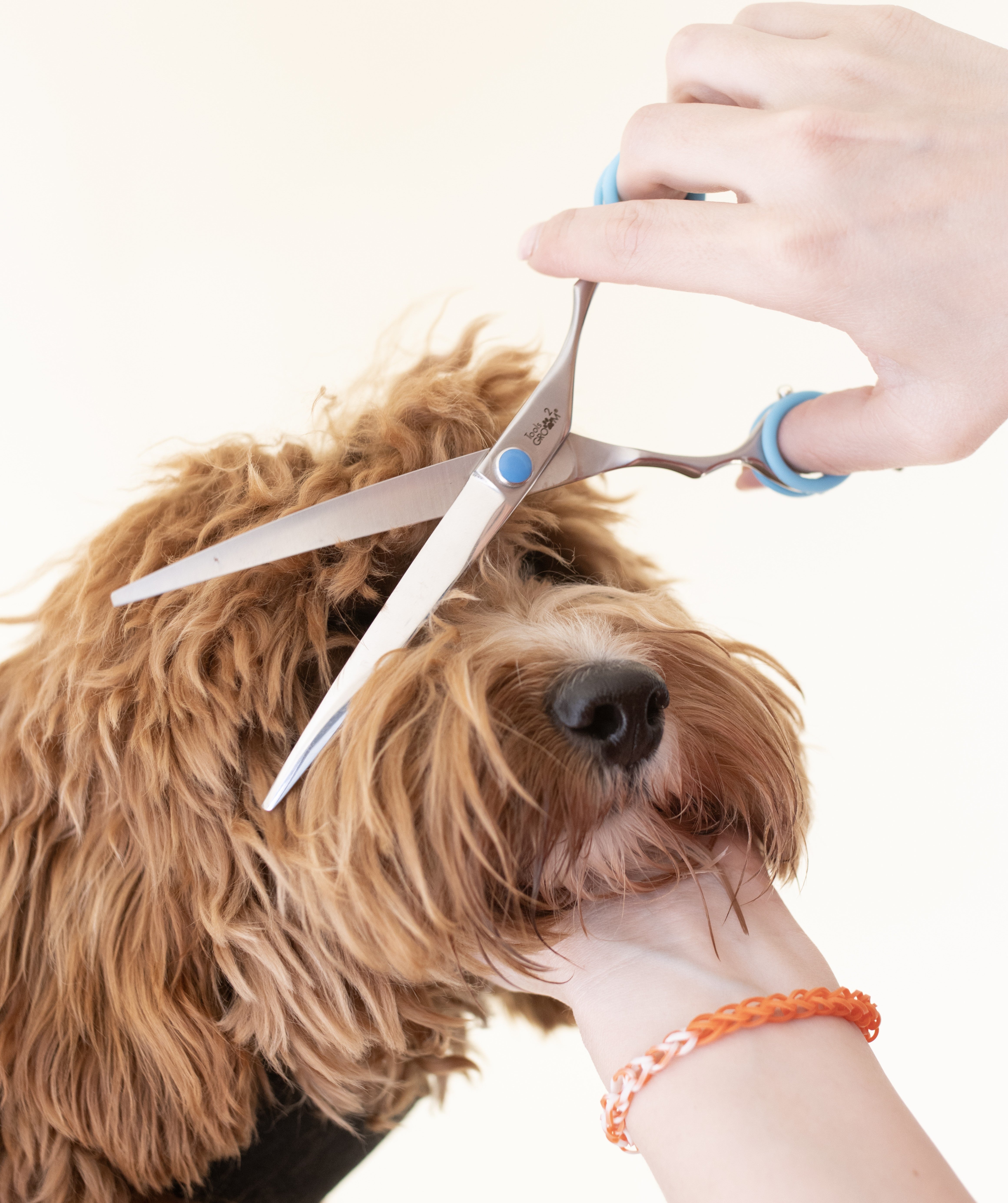 Gebogen Trimschaar Hond 8 Inch – Tools to Groom – Labradoodle & Doodle Vacht