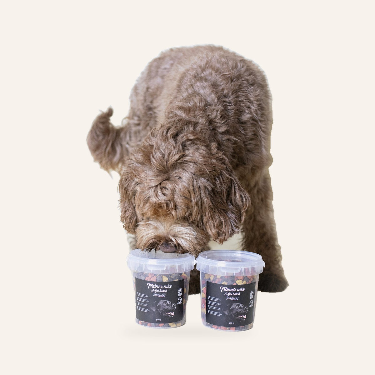 Puppy Startpakket voor Labradoodles – Complete Rustige Startset