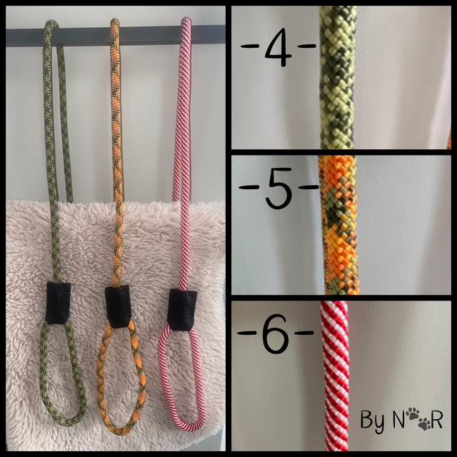 Trainingslijn voor Labradoodles – Veilig, Wasbaar en Met Veiligheidsring