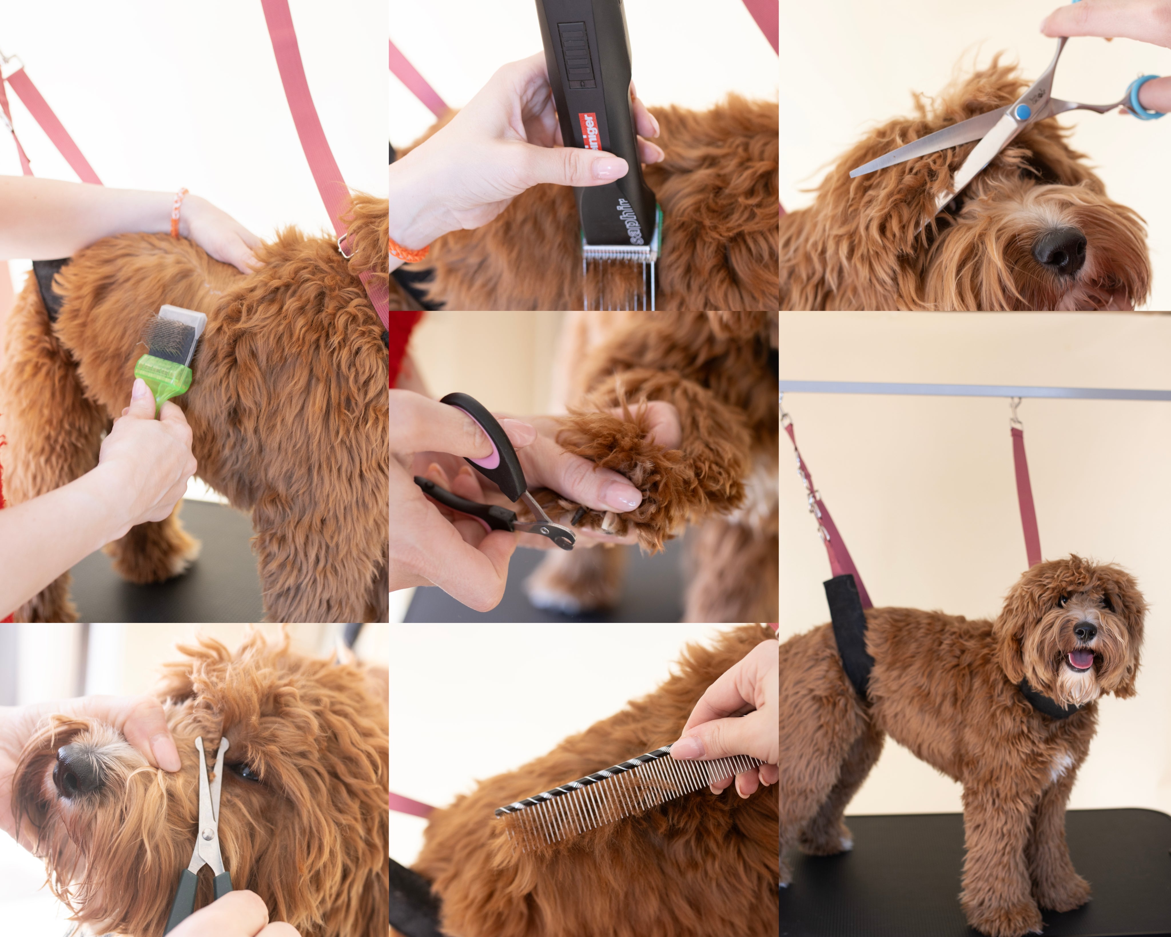 Trimtafel voor Labradoodle – Antislip Hondentrimtafel met Dubbele Trimarm